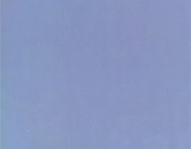 処理前の生画像
