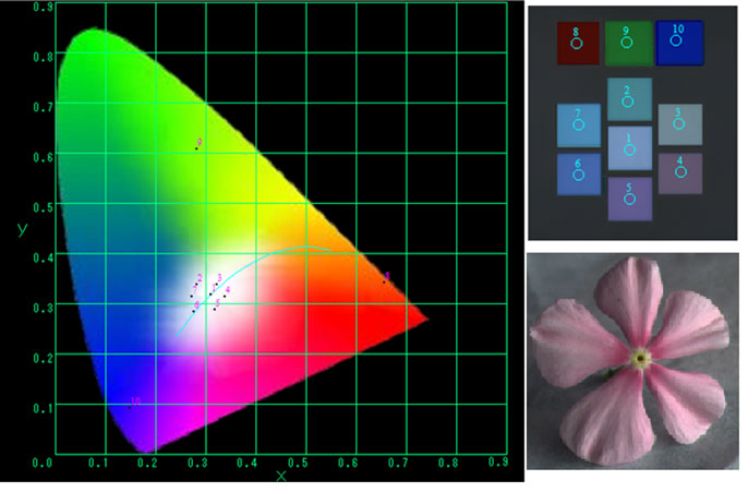 標準装置の色度特性